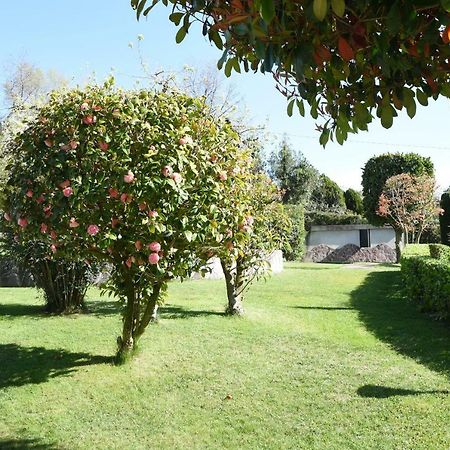 B&B Sentiero Romantico 이볼리 외부 사진